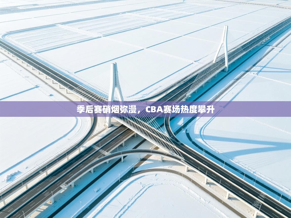 季后赛硝烟弥漫，CBA赛场热度攀升  第2张